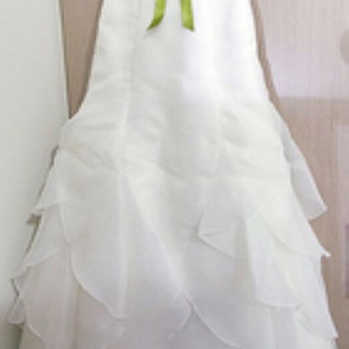 Pronovias Barcelona Dango wedding dress like new with elegant simple design