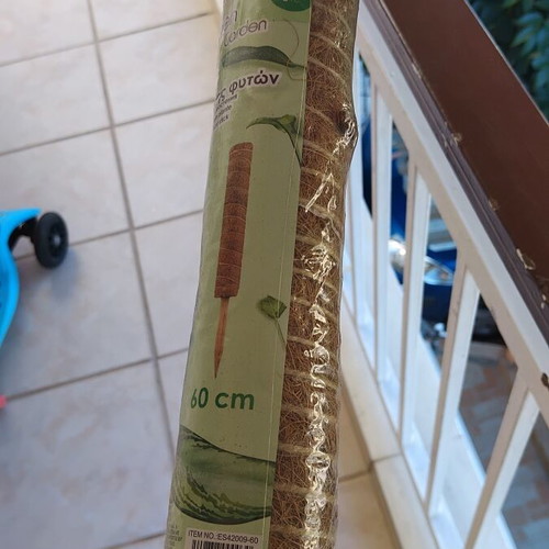 Green Garden moss pole plant support 60 cm