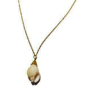 Long necklace with natural shell and stainless steel chain new