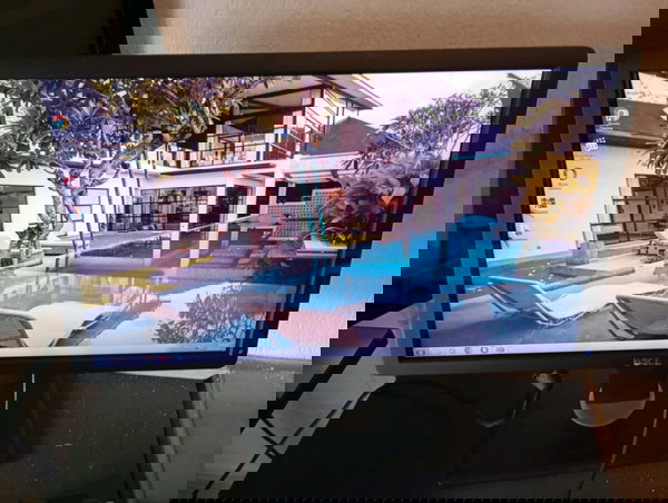 οθόνη dell 22 ιντσών επαγγελματική σειρά ωραία χρώματα εικόνα έχει μία κόκκινη γραμμή αχνή