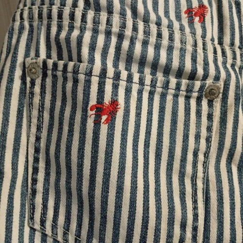 Ralph Lauren denim skirt for girls, age 10, railroad stripe with red lobsters embroidery