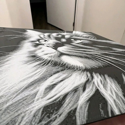 3D Cat Portrait Decorative Painting new