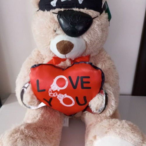 Valentine's plush teddy bear new pirate with gift A4 card