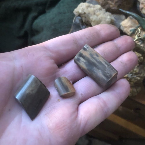 Petrified wood Madagascar new, large piece with interesting shade