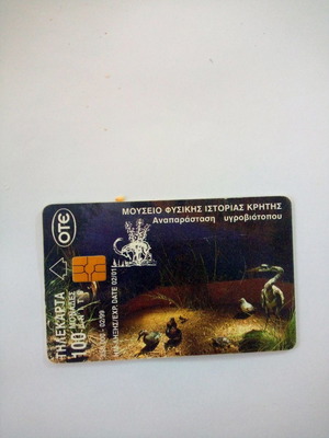 Phone card Museum of Natural History Crete 1999