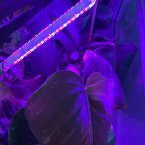 Phytolamp Full Spectrum LED Grow Light USB like new