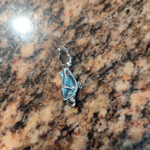 Pandora charm