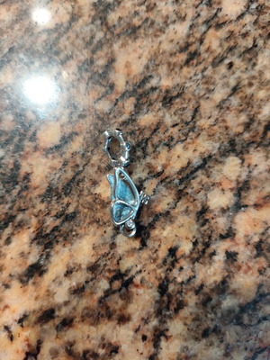 Pandora charm
