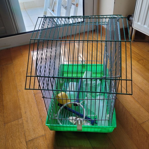 Canary cage used