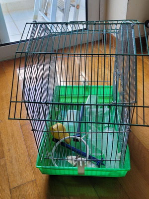 Canary cage used