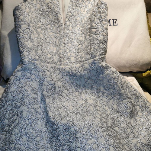 Miss Selfridge cocktail dress with silver embroidery