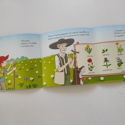 The Meadow children's book like new