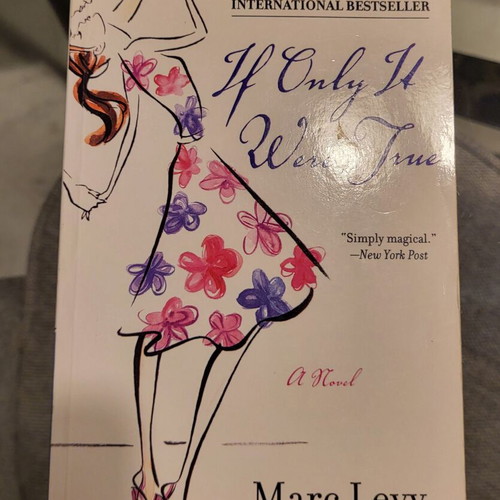 If Only It Were True Novel by Marc Levy like new, English