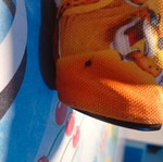Cheetos pencil case 2009 contest used, collectible