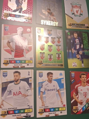 Panini cards like new, 17 older season set
