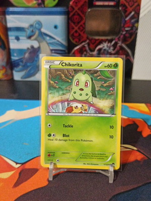 Pokémon card Chikorita