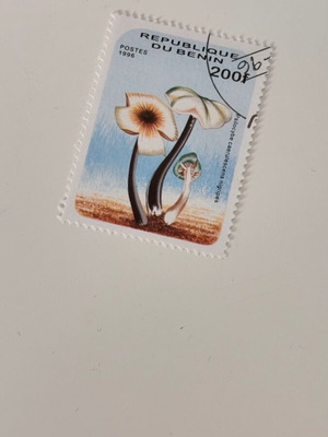 Benin 1996 stamp like new, mushrooms