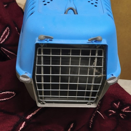 Cat or small dog transport carrier