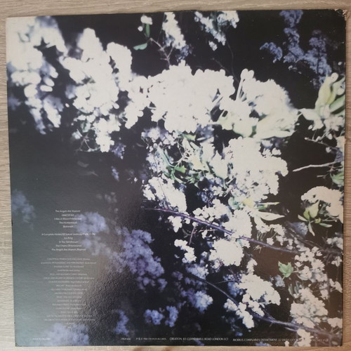 Momus Tender Pervert vinyl used, Creation Records 1988