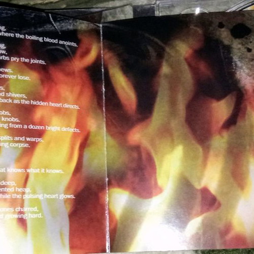 The Ram Rich Shapero CD used, folk rock with booklet