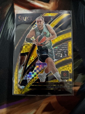 2025-26 Panini Select Euroleague Tadas Sedekerskis Gold Card