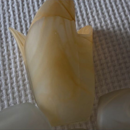 Glass lamp shades set of 4 tulip shape for E14, like new