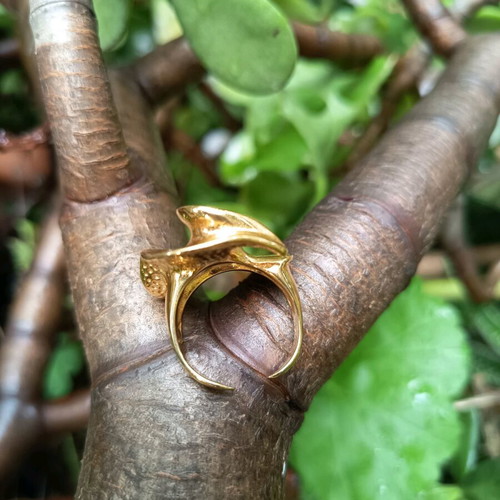 Ring impressive made of stainless steel used
