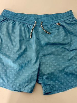 Loro Piana men's swimwear used, size L, light blue