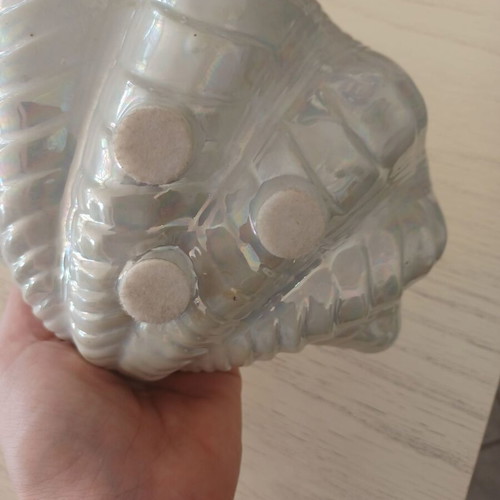 Ceramic decorative shell-shaped container used