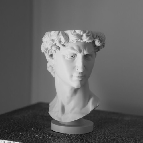 3D Print David Plant Pot