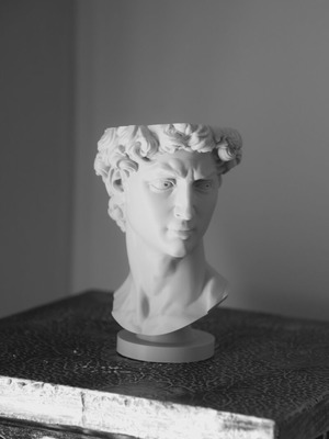 3D Print David Plant Pot
