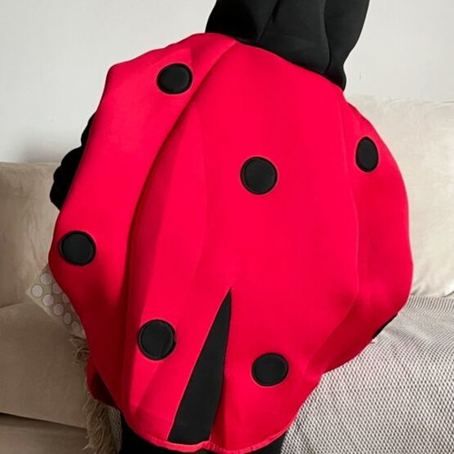 Ladybug costume Zara like new, scuba fabric, size 3-4
