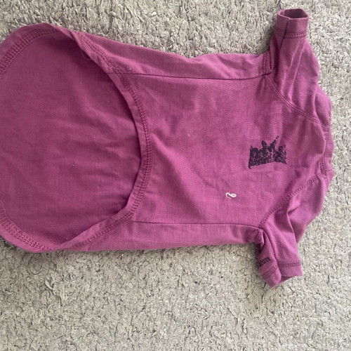 Clothing set for small dogs new, warm for autumn and winter