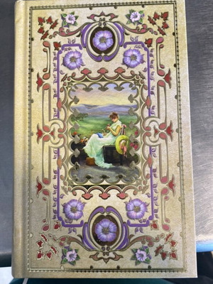 Book I Ligeri by Andreas Karkavitsas like new