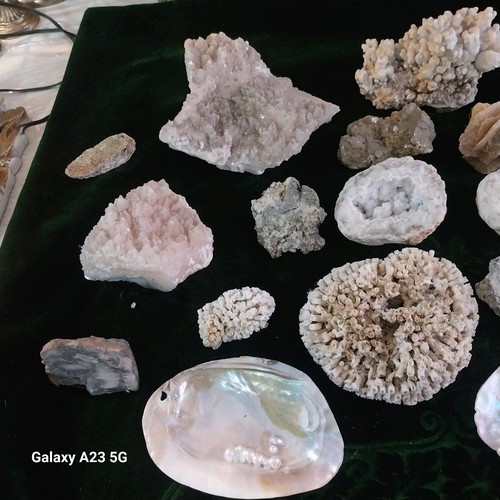 Coral and rock collection used, pack