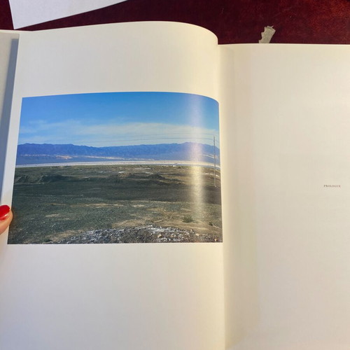 Pierre Huyghe Le Chateau de Turing & Celebration Park exhibition catalogs