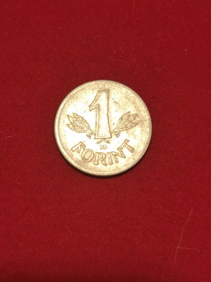 Hungarian coin 1 forint used