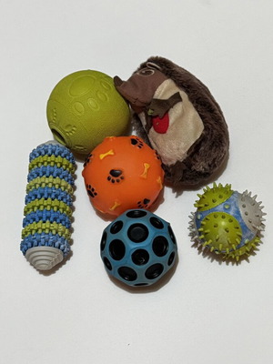 Dog toys set, training accessories
