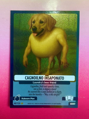 Cagnoilno Insaponato #48 Italian Brainrot Psychedelic Universe card new