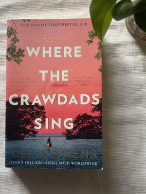 Where the Crawdads Sing book used, English