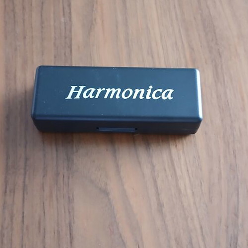 Diatonic Harmonica 10 Holes New with Case