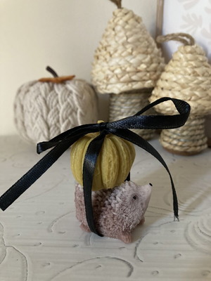 Handmade Hedgehog Candle with Pumpkin, New