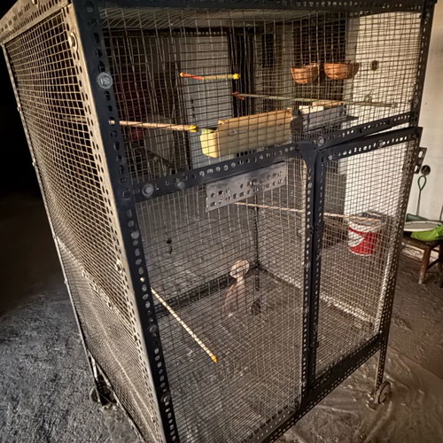 Large bird cage like new