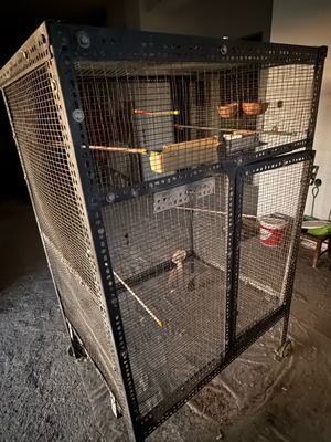 Large bird cage like new