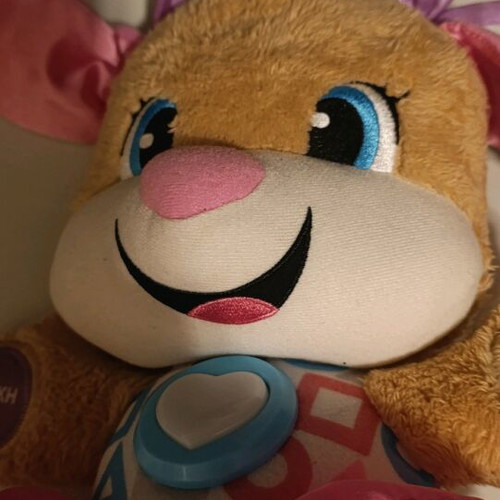 Fisher Price Smart Stages educational puppy used