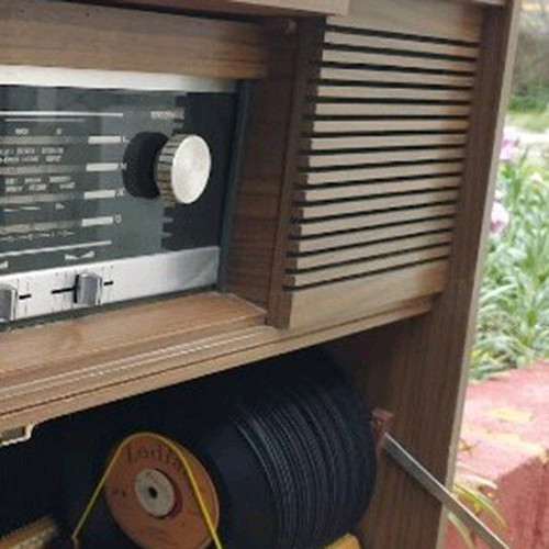 Grundig antique audio system with 30 records