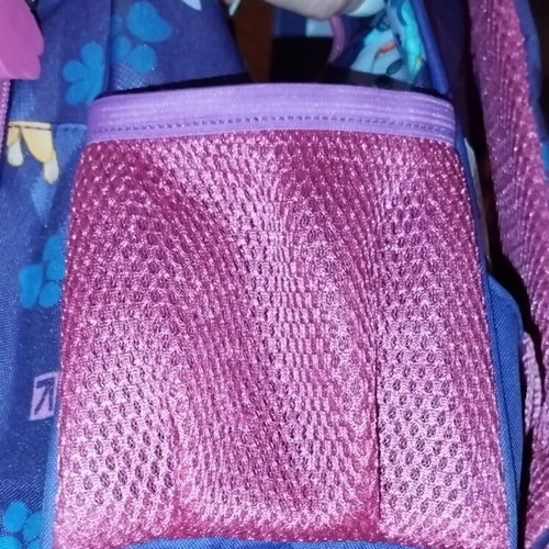 Paw Patrol kindergarten backpack