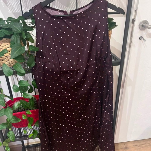 Polka Dress Burgundy Size M New