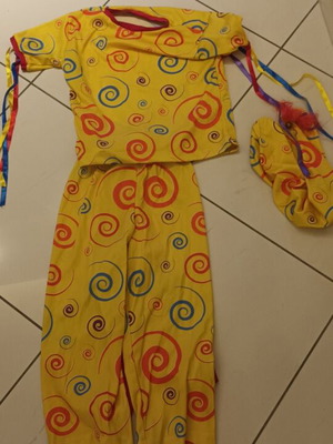 Carnival costume child like new