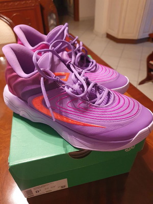 Nike Giannis Immortality 4 shoes, size 42, purple